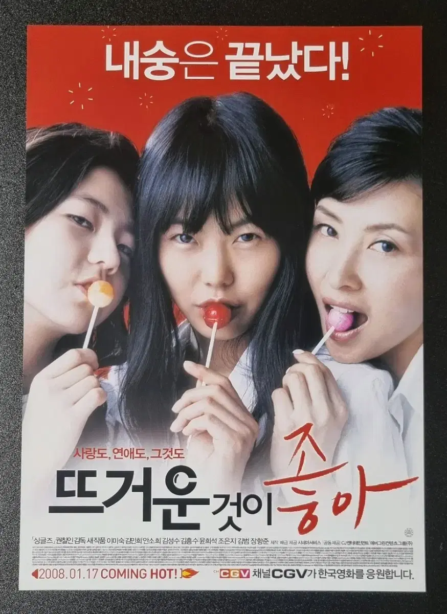 [영화팜플렛] 뜨거운것이좋아 (2008) 안소희 김민희 영화전단지